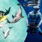 Underwater productions and projects