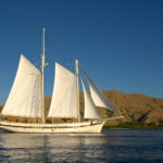 Liveaboard finder – Ocean adventures worldwide